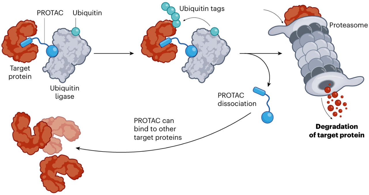 微信圖片_20250611090306.png 微信圖片_20250611090306.png