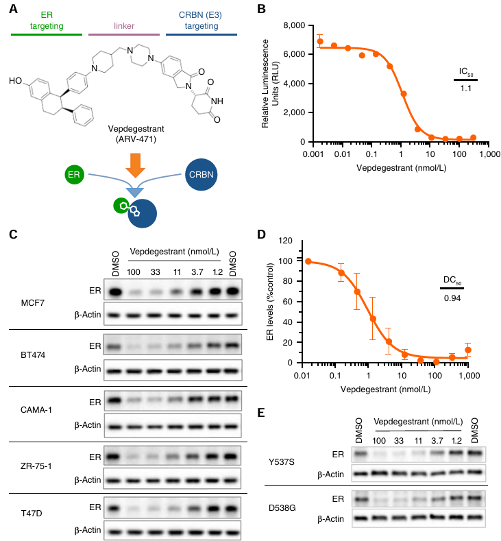 微信圖片_20250611090310.png 微信圖片_20250611090310.png