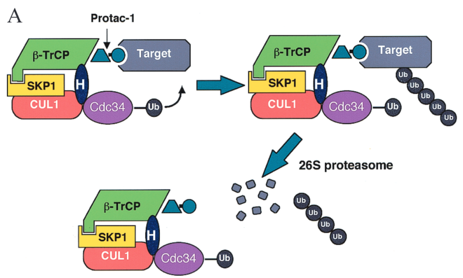 微信圖片_20250611090319.png 微信圖片_20250611090319.png