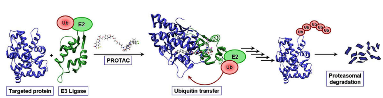 微信圖片_20250611090321.png 微信圖片_20250611090321.png