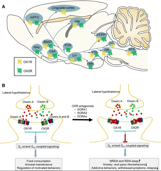 49b2f0b3c6db0fceaf2da779f404956a.png 49b2f0b3c6db0fceaf2da779f404956a.png
